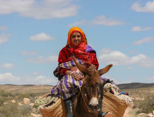 The Amazigh of Zaghouan